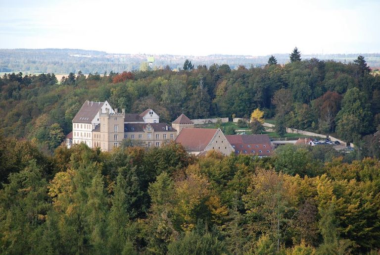 123716632 768x515