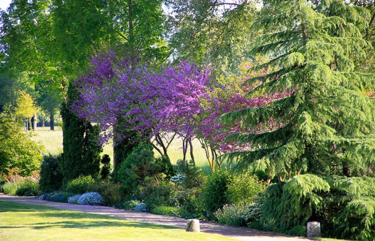 chateau brissac parc alllee fleurie 768x494