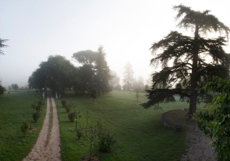 Mar 0341 768x538